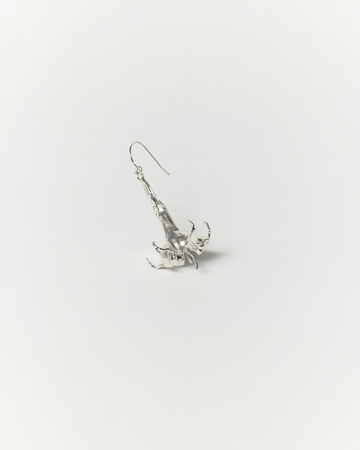 DATURA DROP