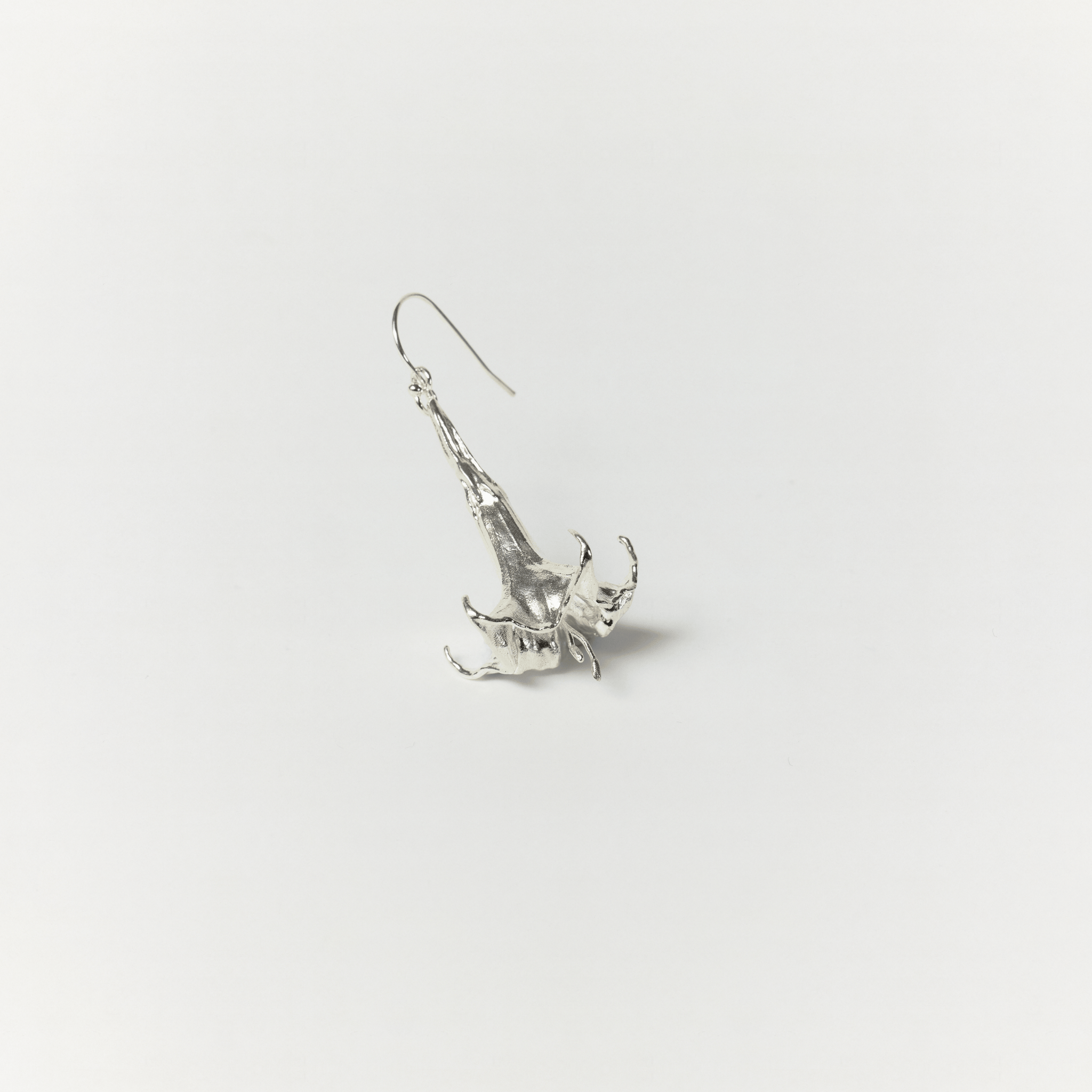 DATURA DROP
